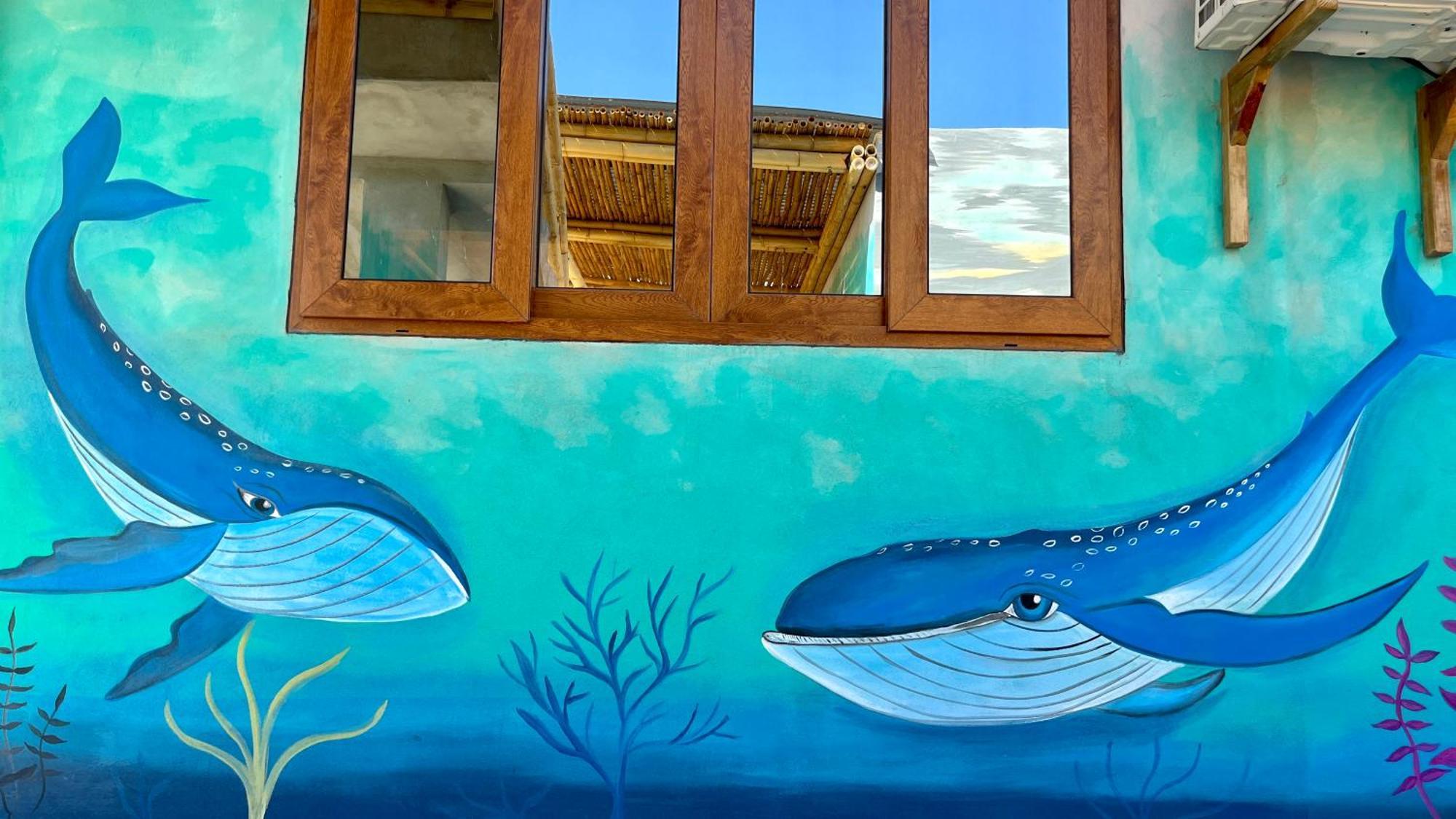 Shanti Surf Camp Эль-Паредон-Буэна-Виста Экстерьер фото